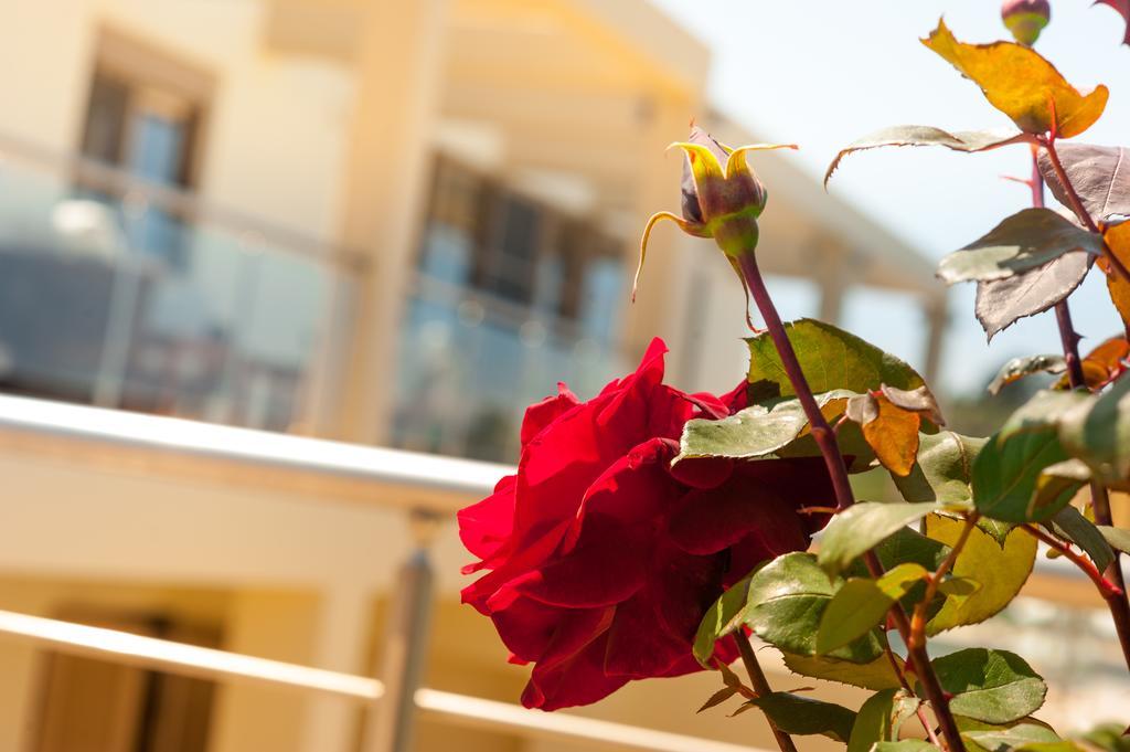 Villa Prigipessa Agia Marina Екстериор снимка